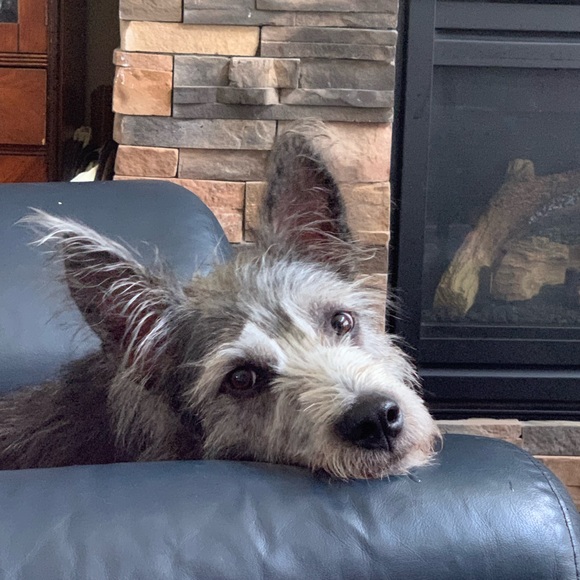 Meet your Posher, Courtney - Picture 1 of 1